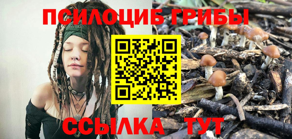 Кингисепп  Псилоцибиновые грибы мухоморы  Вход с VPN 