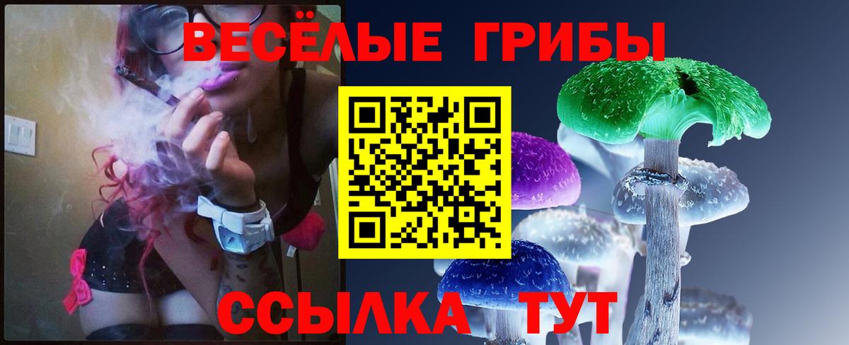 Псилоцибиновые грибы ЛСД Кингисепп